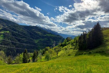 1:1 Seiltausch 220 kV Ltg. Tauern - Wei&szlig;enbach, System 221/222