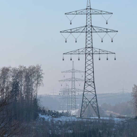 image00006 image00006